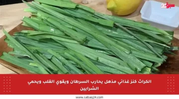 الكراث كنز غذائي مذهل يحارب السرطان ويقوي القلب ويحمي الشرايين